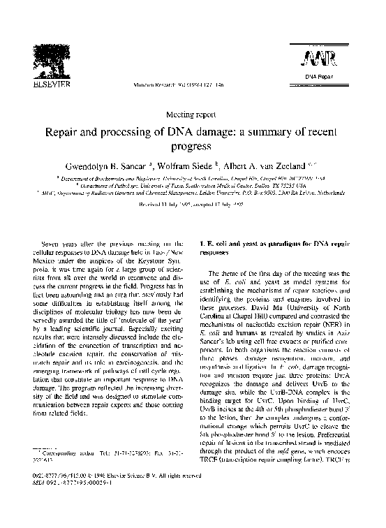(PDF) Repair and processing of DNA damage: a summary of recent progress