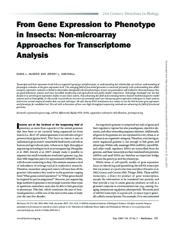 (PDF) From Gene Expression to Phenotype in Insects: Non-microarray ...