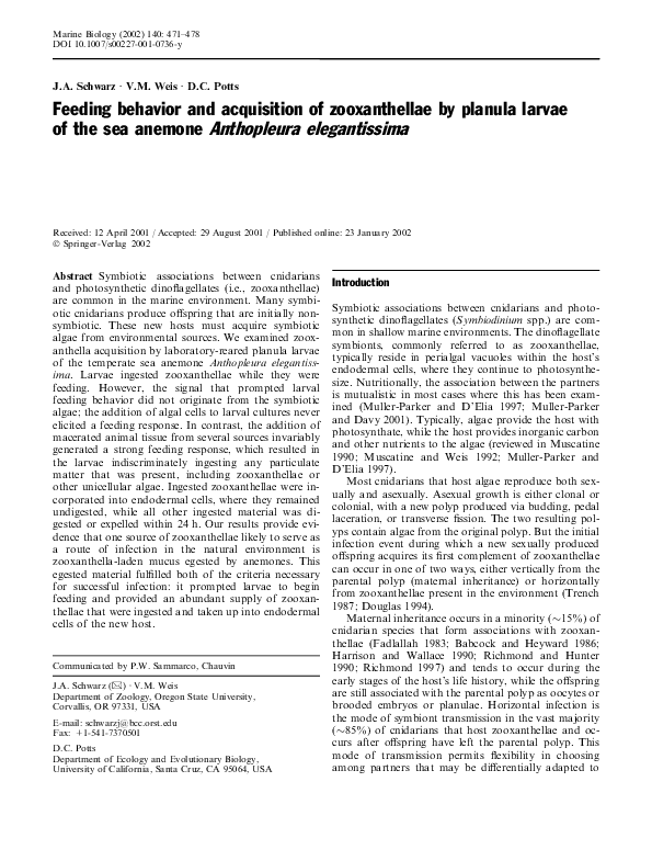 (PDF) Feeding behavior and acquisition of zooxanthellae by planula ...
