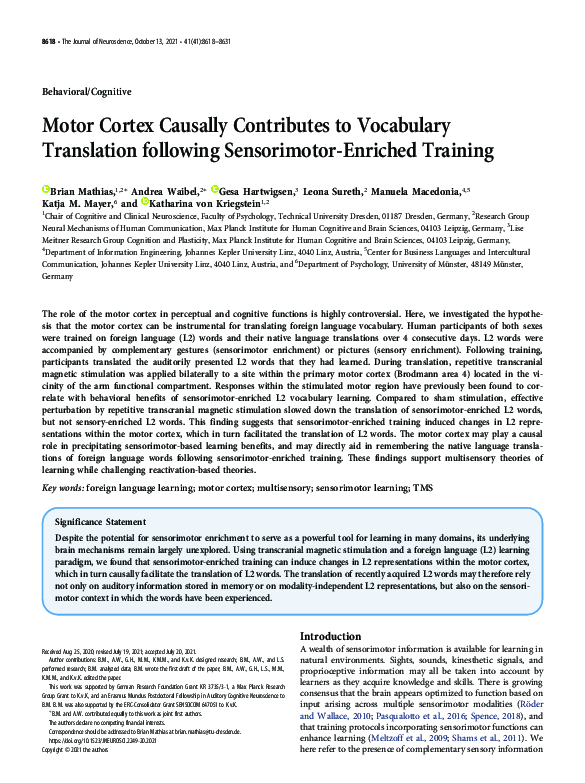 (PDF) Motor Cortex Causally Contributes to Vocabulary Translation ...
