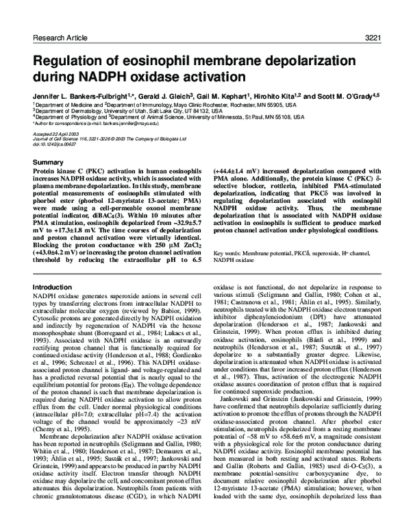 (PDF) Regulation of eosinophil membrane depolarization during NADPH ...