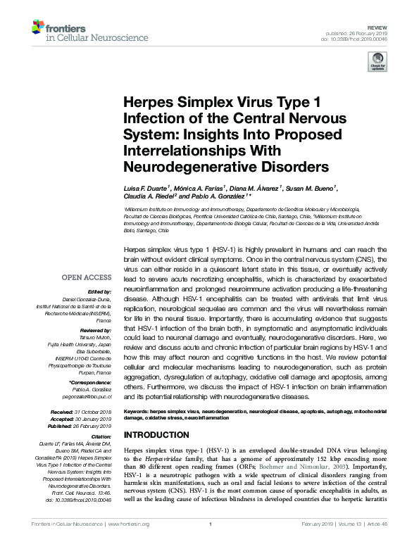 (PDF) Herpes Simplex Virus Type 1 Infection of the Central Nervous ...