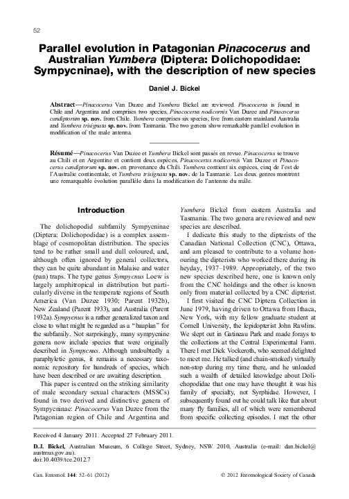 (PDF) Parallel evolution in Patagonian Pinacocerus and Australian ...