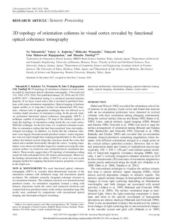 (PDF) 3D topology of orientation columns in visual cortex revealed by ...