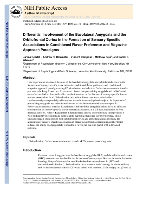 (PDF) Differential involvement of the basolateral amygdala and ...