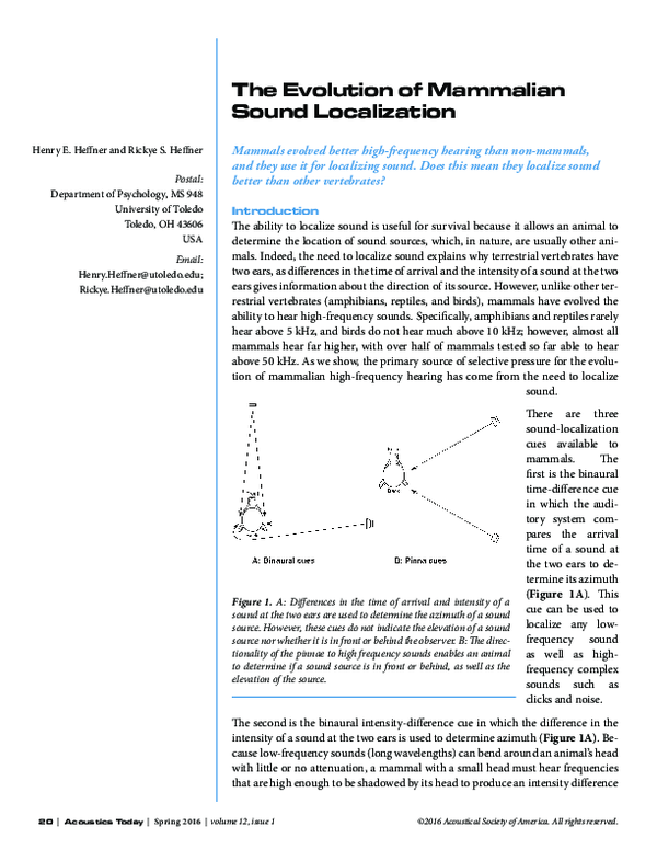 (PDF) The Evolution of Mammalian Sound Localization
