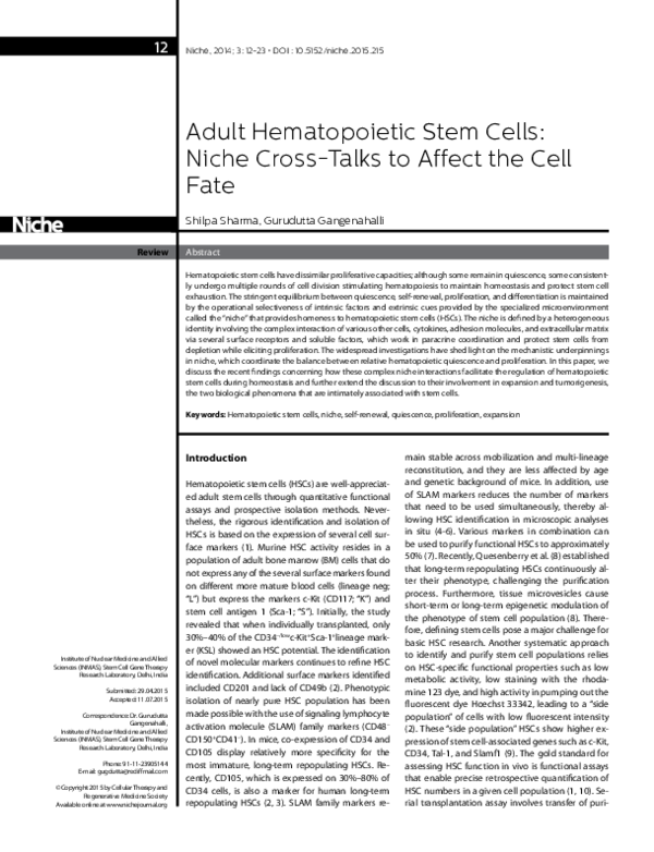 (PDF) Adult Hematopoietic Stem Cells: Niche Cross-Talks to Affect the ...