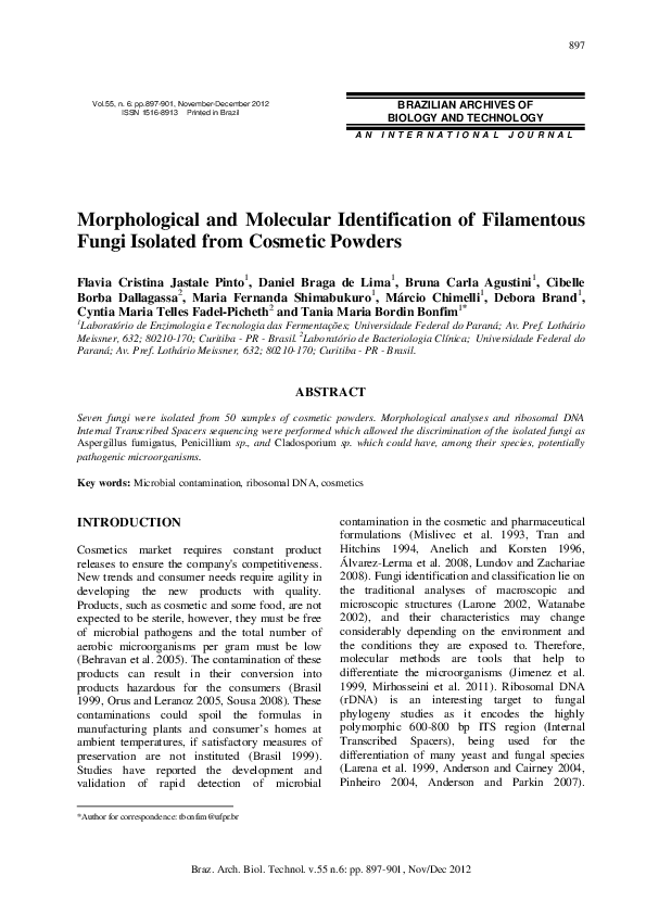 (PDF) Morphological and molecular identification of filamentous fungi ...