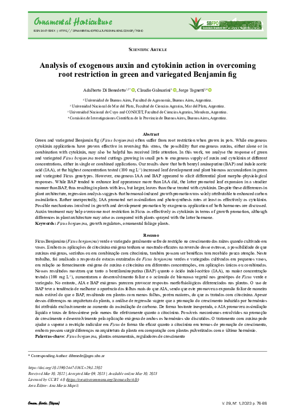 (PDF) Analysis of exogenous auxin and cytokinin action in overcoming ...
