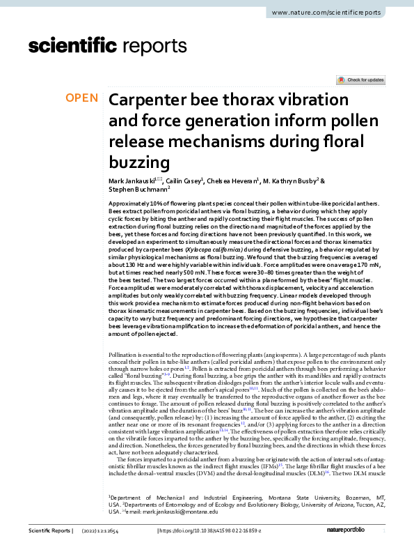 (PDF) Carpenter bee thorax vibration and force generation inform pollen ...
