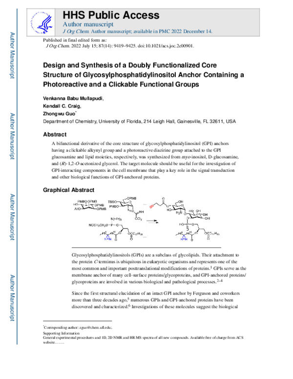 (PDF) Design and Synthesis of a Doubly Functionalized Core Structure of ...
