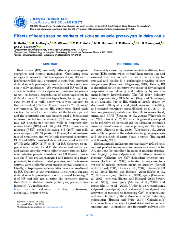 (PDF) Effects of heat stress on markers of skeletal muscle proteolysis ...