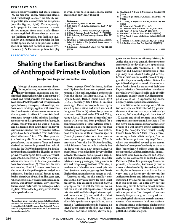 (PDF) Shaking the Earliest branches of Anthropoid Primate Evolution