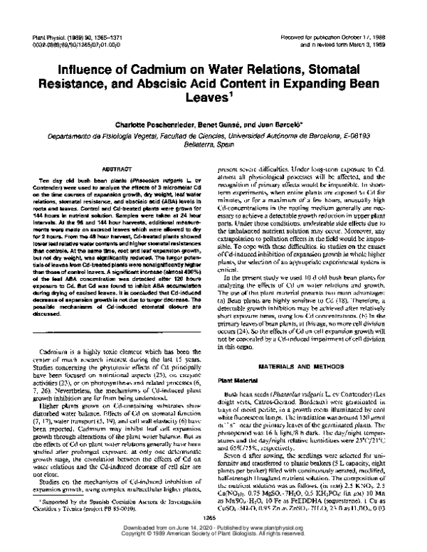 (PDF) Influence of Cadmium on Water Relations, Stomatal Resistance, and ...