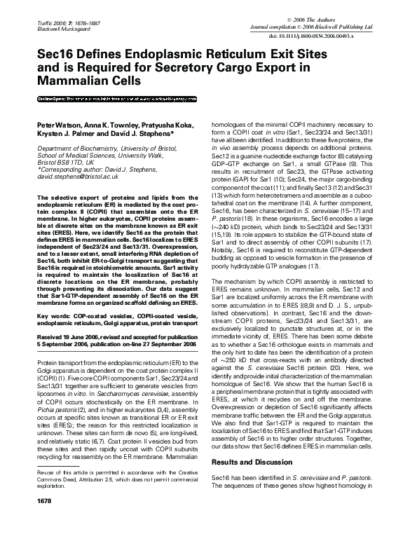(PDF) Sec16 Defines Endoplasmic Reticulum Exit Sites and is Required ...