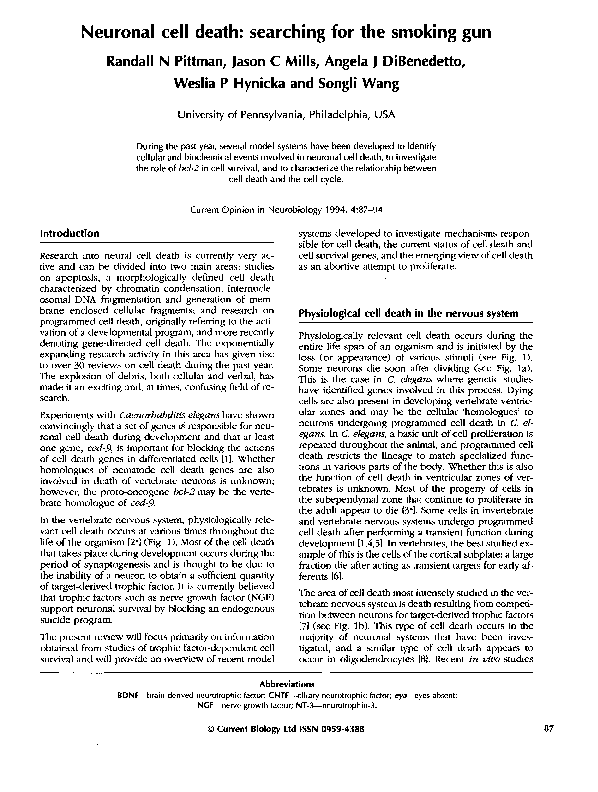 (PDF) Neuronal cell death searching for the smoking gun