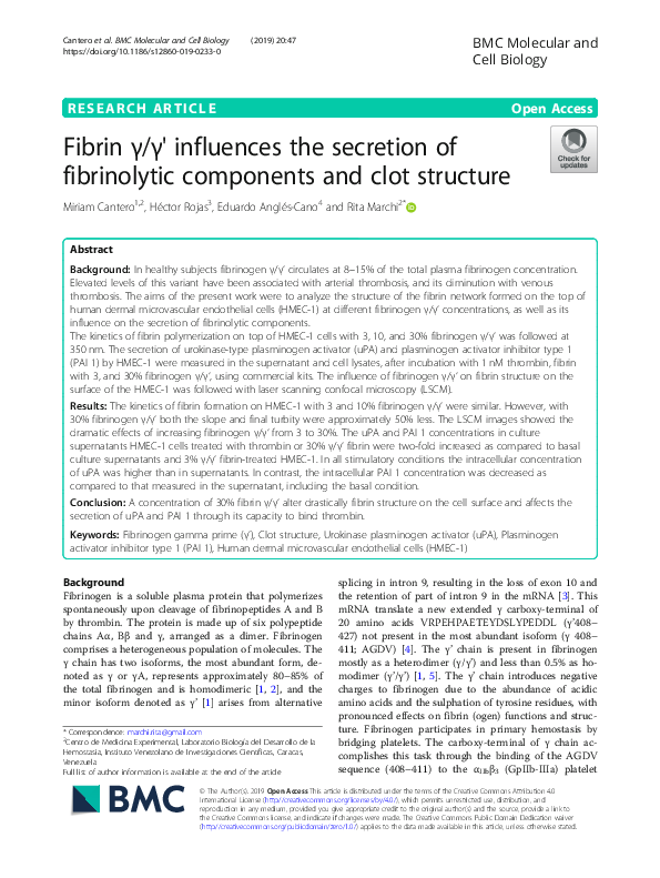 (PDF) Fibrin γ/γ' influences the secretion of fibrinolytic components ...