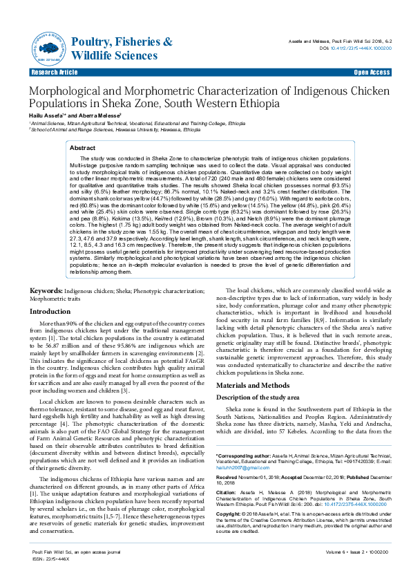 (PDF) Morphological and Morphometric Characterization of Indigenous ...