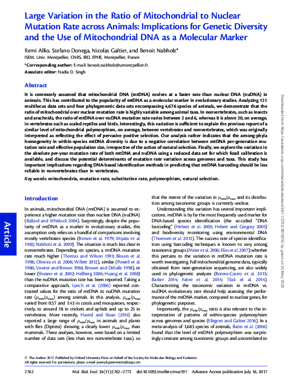 (PDF) Large Variation in the Ratio of Mitochondrial to Nuclear Mutation ...
