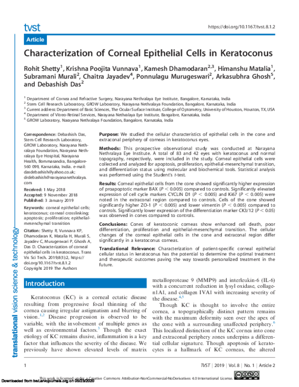 (PDF) Characterization of Corneal Epithelial Cells in Keratoconus