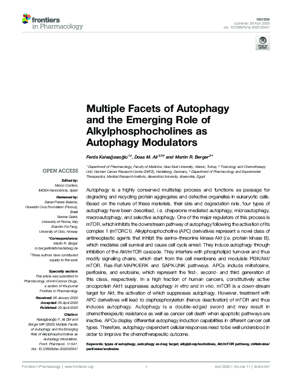 (PDF) Multiple Facets of Autophagy and the Emerging Role of ...