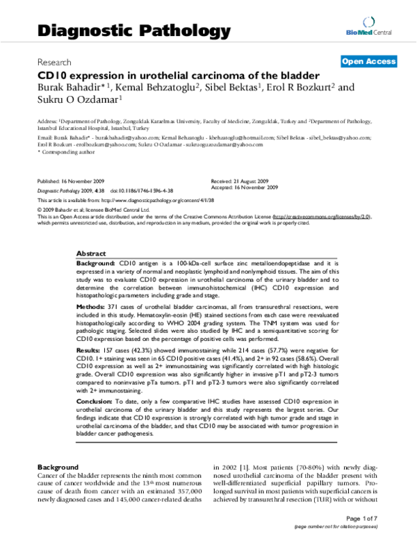 (PDF) CD10 expression in urothelial carcinoma of the bladder