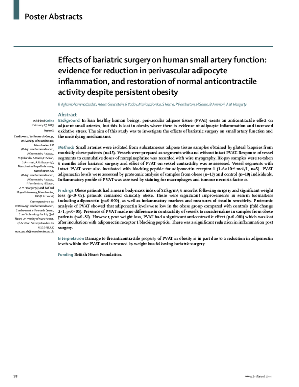 (PDF) Effects of Bariatric Surgery on Human Small Artery Function