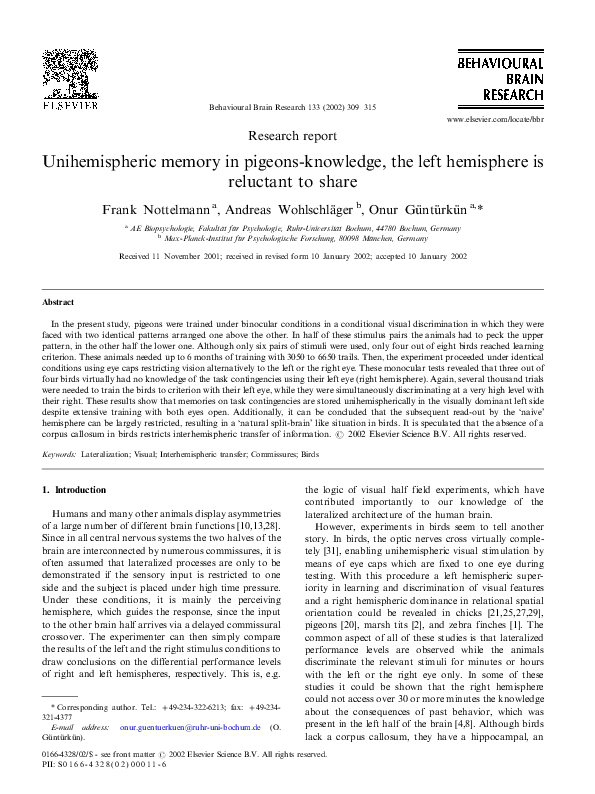 (PDF) Unihemispheric memory in pigeons-knowledge, the left hemisphere ...