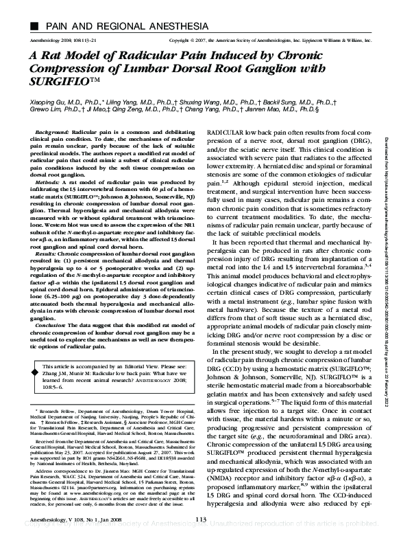 (PDF) A Rat Model of Radicular Pain Induced by Chronic Compression of ...