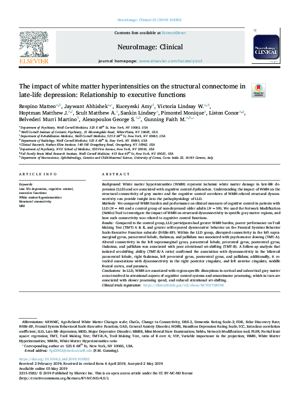 (PDF) The impact of white matter hyperintensities on the structural ...