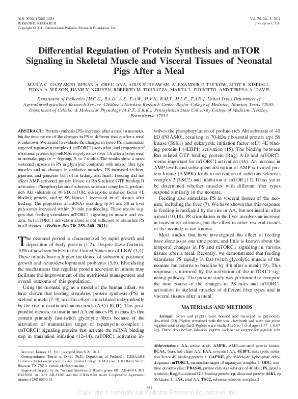(PDF) Differential Regulation of Protein Synthesis and mTOR Signaling ...