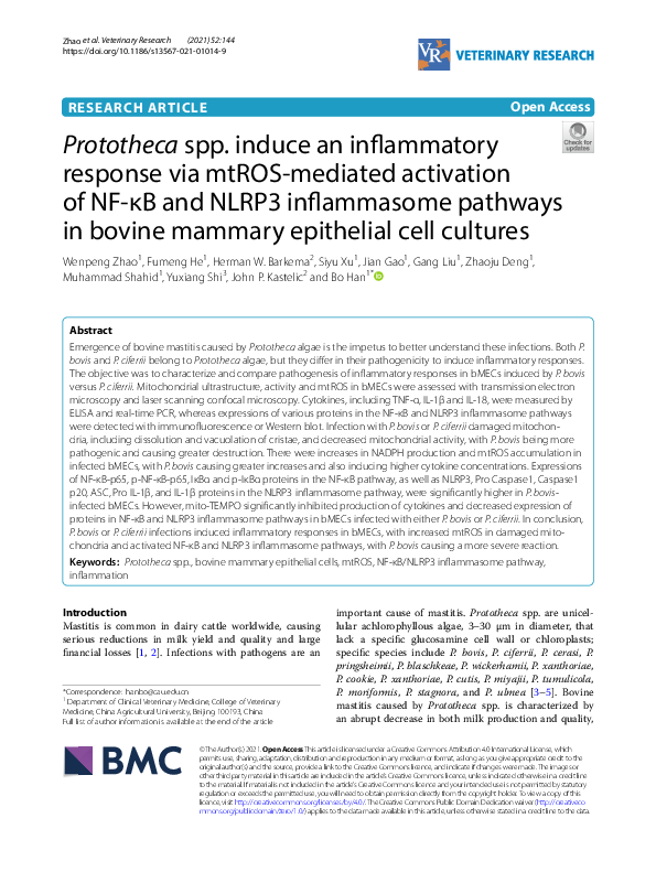 (PDF) Prototheca spp. induce an inflammatory response via mtROS ...