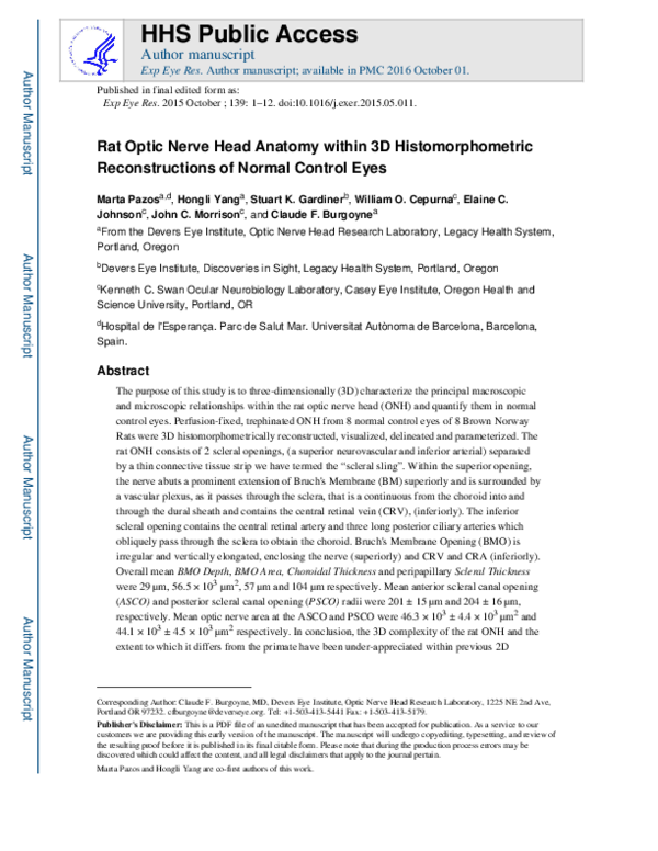 (PDF) Rat optic nerve head anatomy within 3D histomorphometric ...