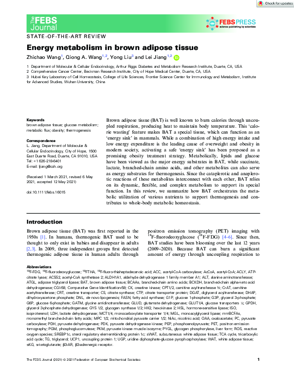 (PDF) Energy metabolism in brown adipose tissue