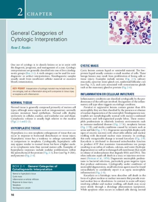 (PDF) General Categories of Cytologic Interpretation