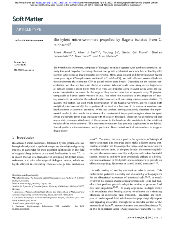 (PDF) Bio-hybrid micro-swimmers propelled by flagella isolated from C ...
