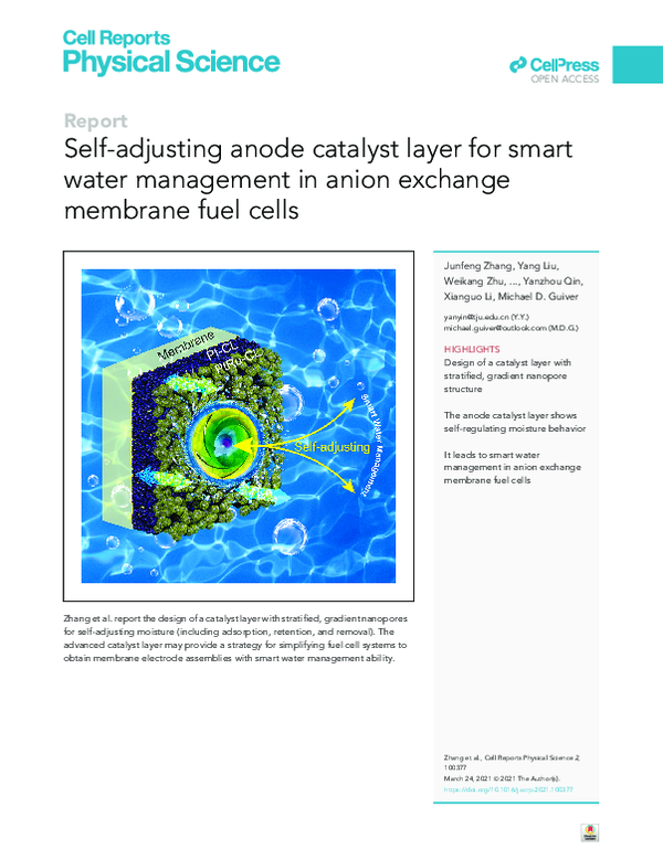 (PDF) Selfadjusting anode catalyst layer for smart water management in