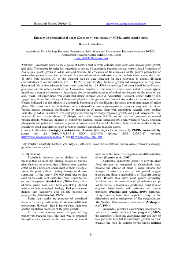 (PDF) Endophytic colonization of maize (Zea mays v.) root plants by ...