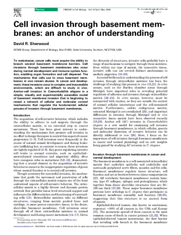 (PDF) Cell invasion through basement membranes: an anchor of understanding