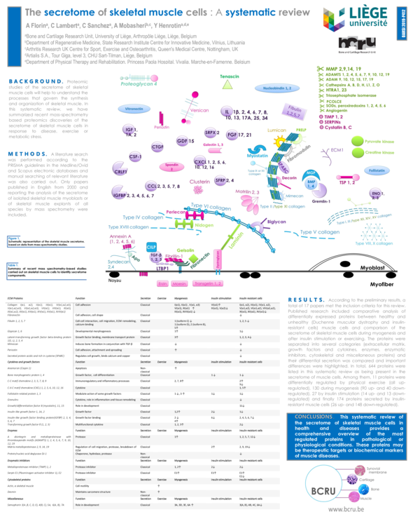 (PDF) A systematic review of the secretome of skeletal muscle cells