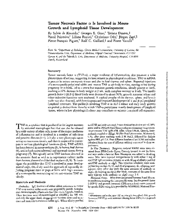 (PDF) Tumor necrosis factor alpha is involved in mouse growth and ...