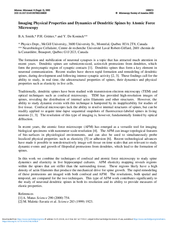 (PDF) Imaging Physical Properties and Dynamics of Dendritic Spines by ...