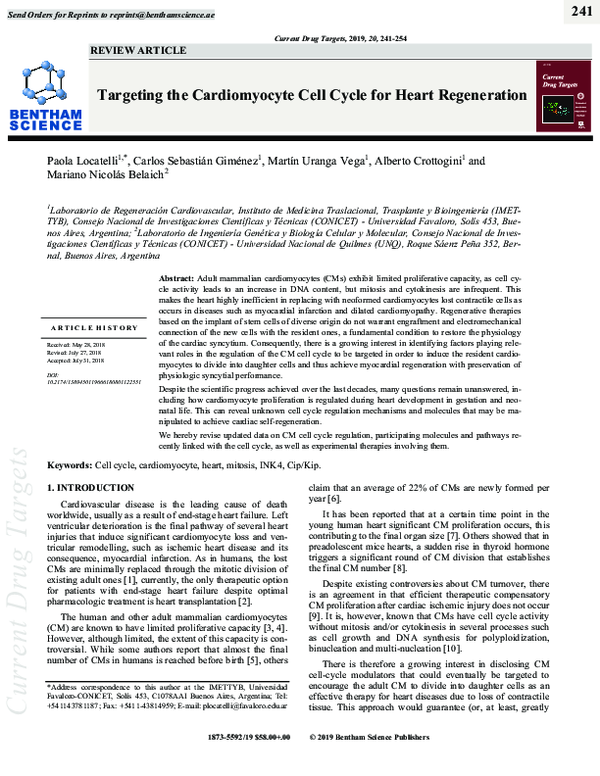 (PDF) Targeting the Cardiomyocyte Cell Cycle for Heart Regeneration