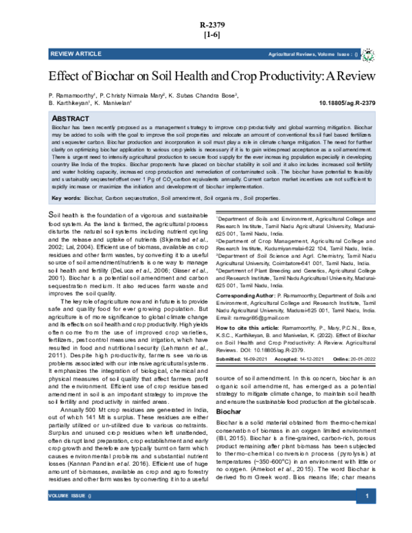 (PDF) Effect of Biochar on Soil Health and Crop Productivity: A Review