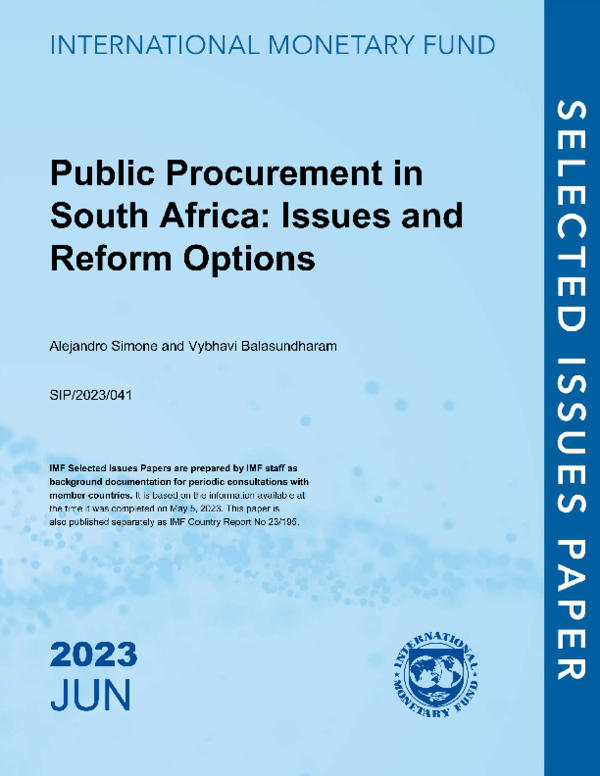 (PDF) Public Procurement in South Africa