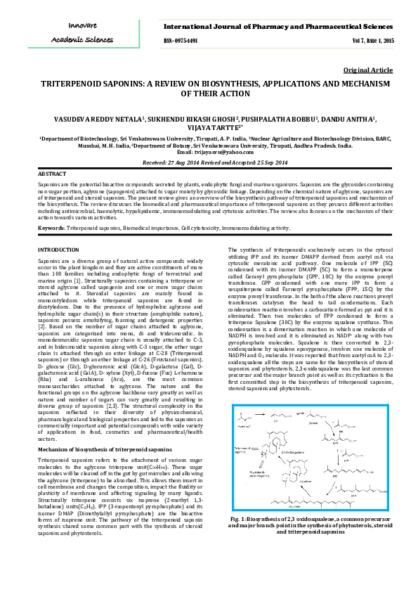 (PDF) TRITERPENOID SAPONINS: A REVIEW ON BIOSYNTHESIS, APPLICATIONS AND ...