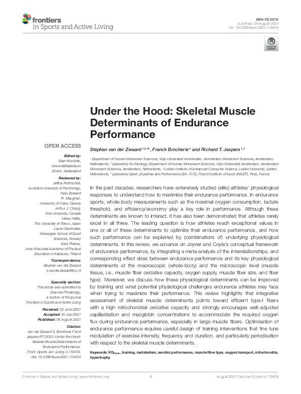 (PDF) Under the Hood: Skeletal Muscle Determinants of Endurance Performance