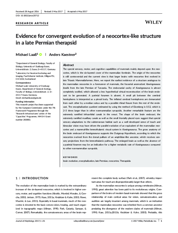 (PDF) Evidence for convergent evolution of a neocortex-like structure ...