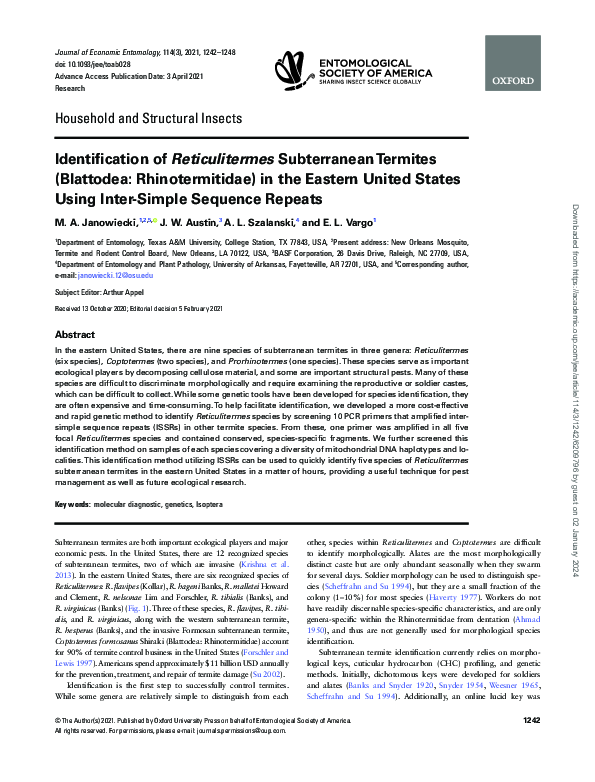 (PDF) Identification of Reticulitermes Subterranean Termites (Blattodea ...