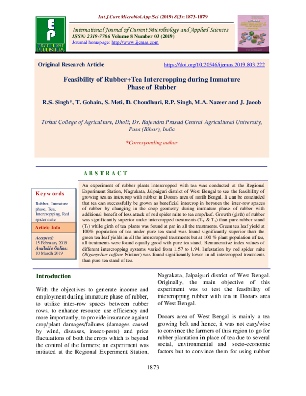 (PDF) Feasibility of Rubber+Tea Intercropping during Immature Phase of ...